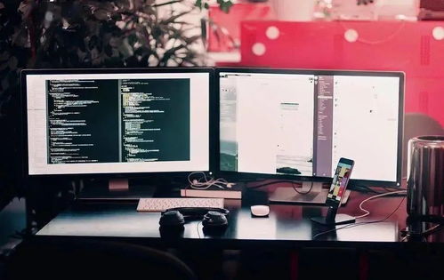 留學(xué)美國(guó)首選計(jì)算機(jī)專業(yè) 熱度持續(xù)攀升，錄取競(jìng)爭(zhēng)白熱化